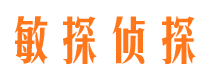 鹤峰市侦探调查公司